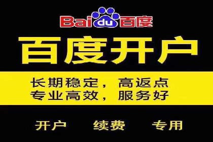 竞价托管实战案例：提升广告点击率与转化率
